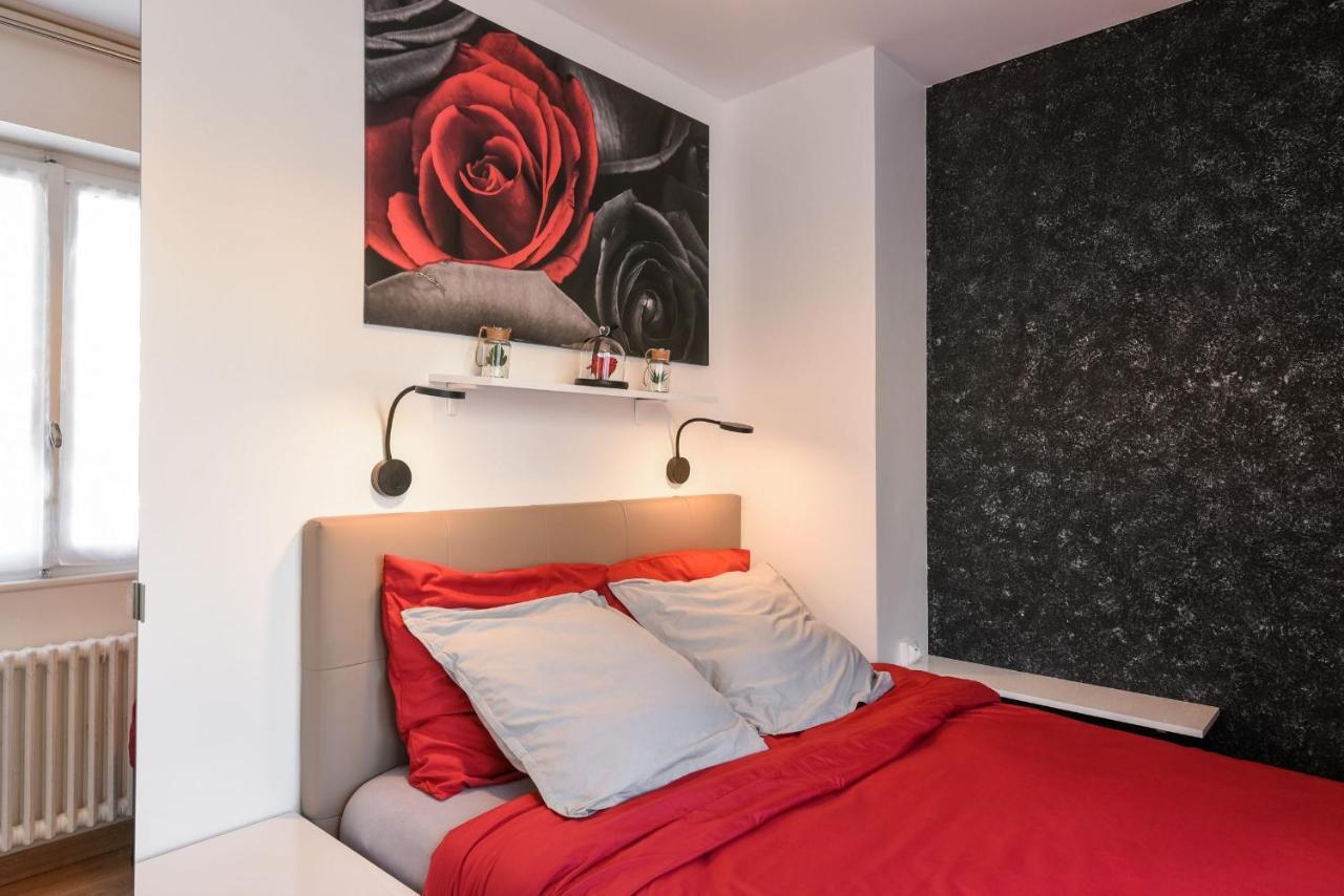 Au Nom De La Rose - Casa Vostra - Caution 800 Eur & Id Requises - Annemasse Apartman Kültér fotó